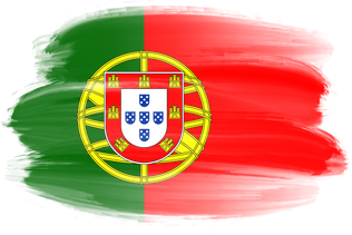 Portugal Brush Flag