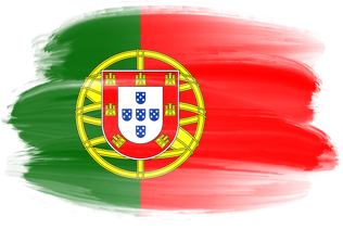 Portugal Brush Flag